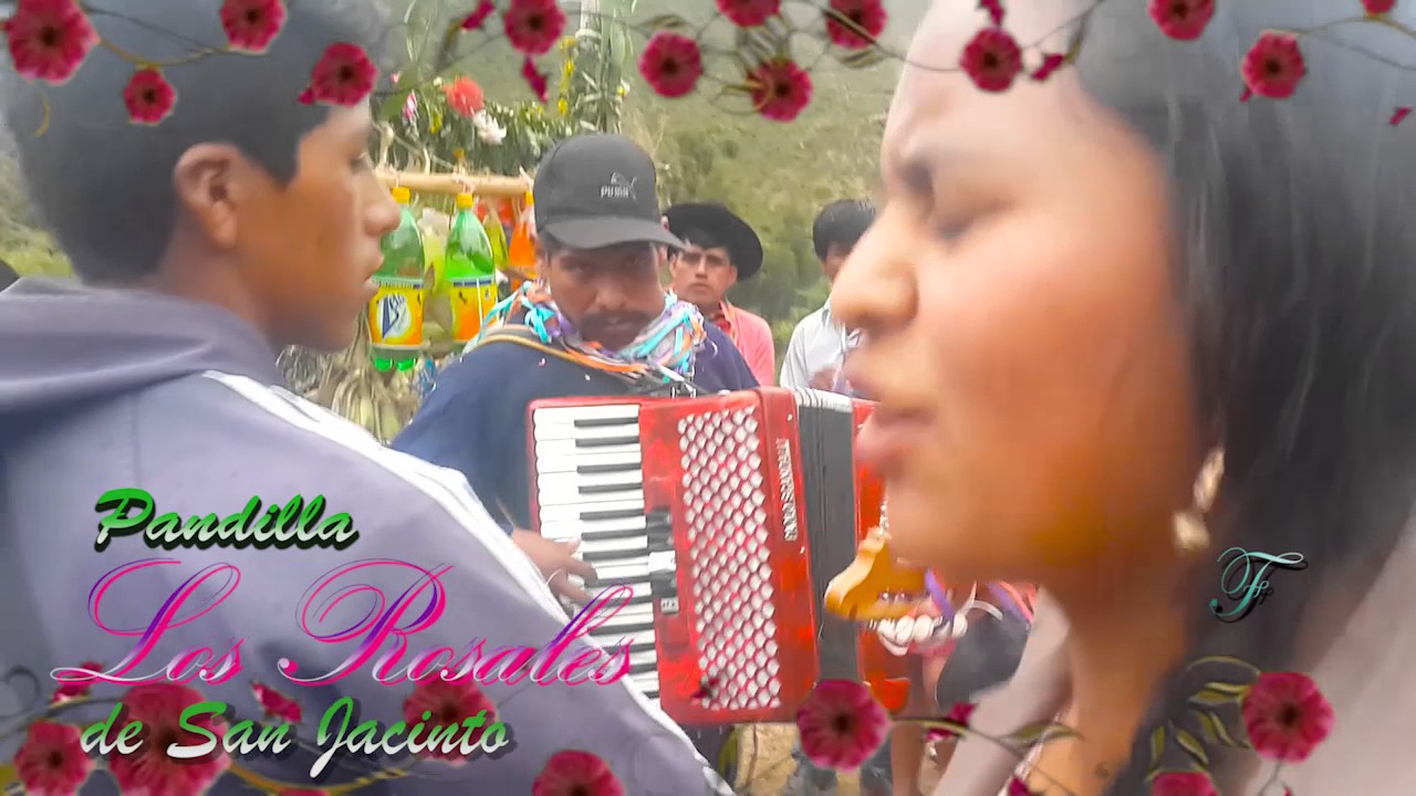 PANDILLA DE ICLA SAN JACINTO 2017