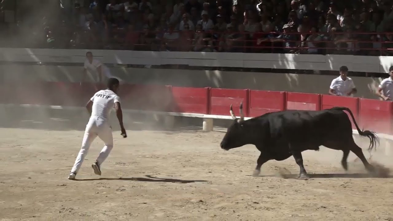 LANSARGUES (16/06/2024) - Le résumé de la course