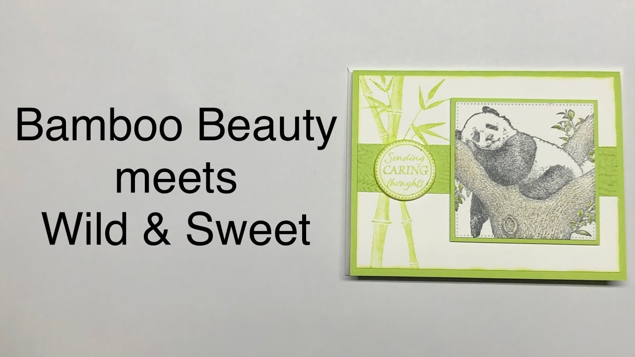 Bamboo Beauty meets Wild & Sweet
