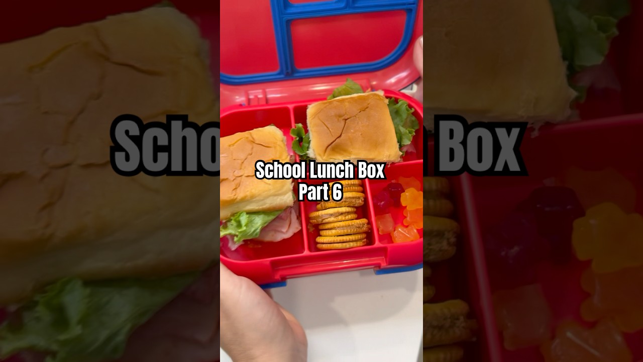 Part 6 School Lunch Box #schoollunch #lunchbox #lunchboxideas #kidslunchbox #schoollunchbox