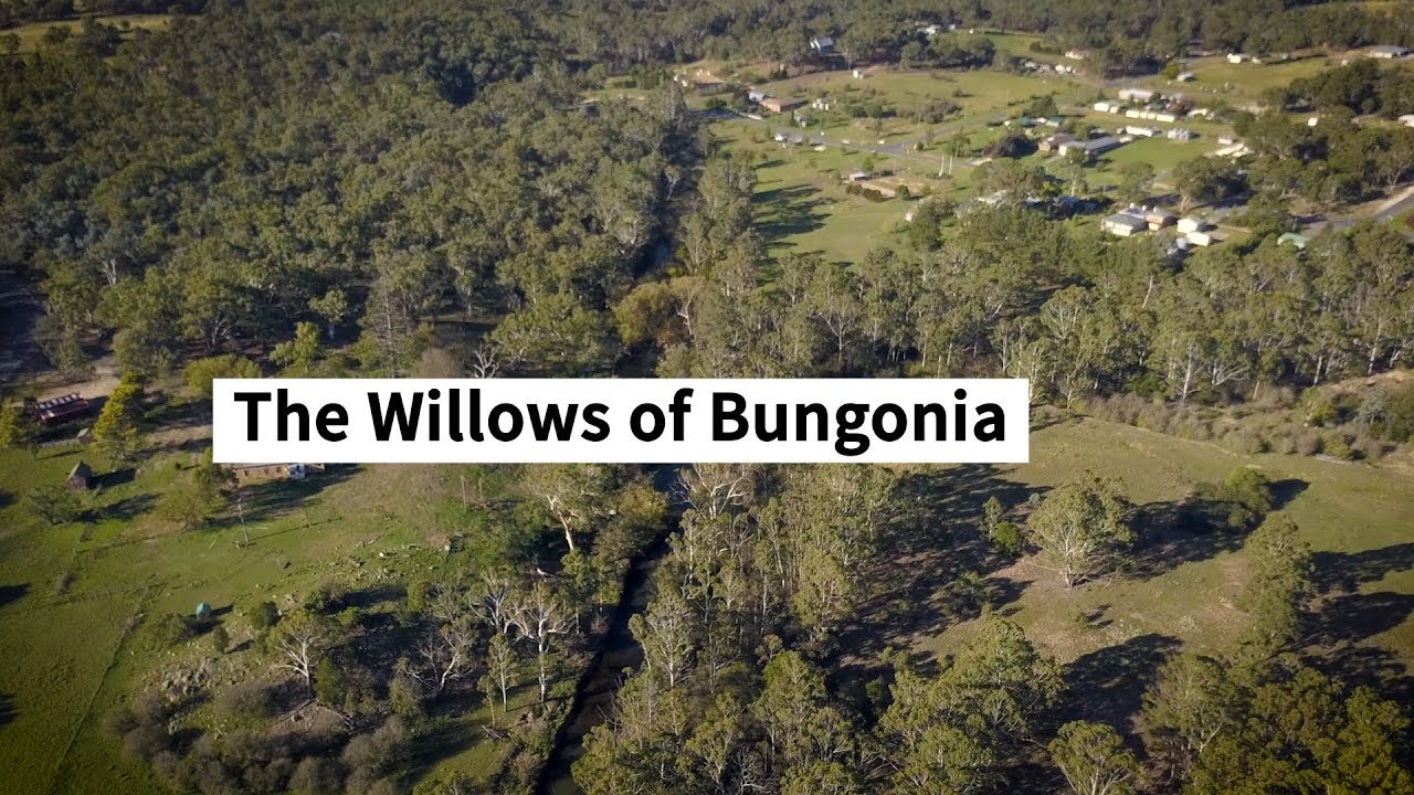 The Willows of Bungonia