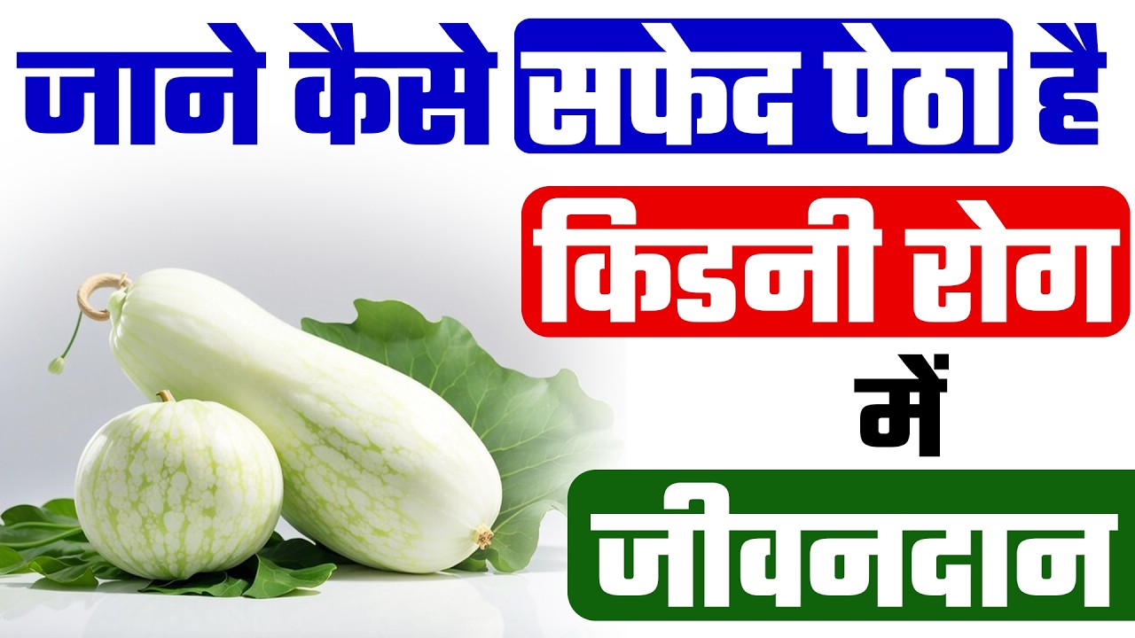 किडनी रोग के लिए ऐश गॉर्ड/सफेद पेठा | Ash Gourd Benefits For Kidney Disease | Improve Kidney Health