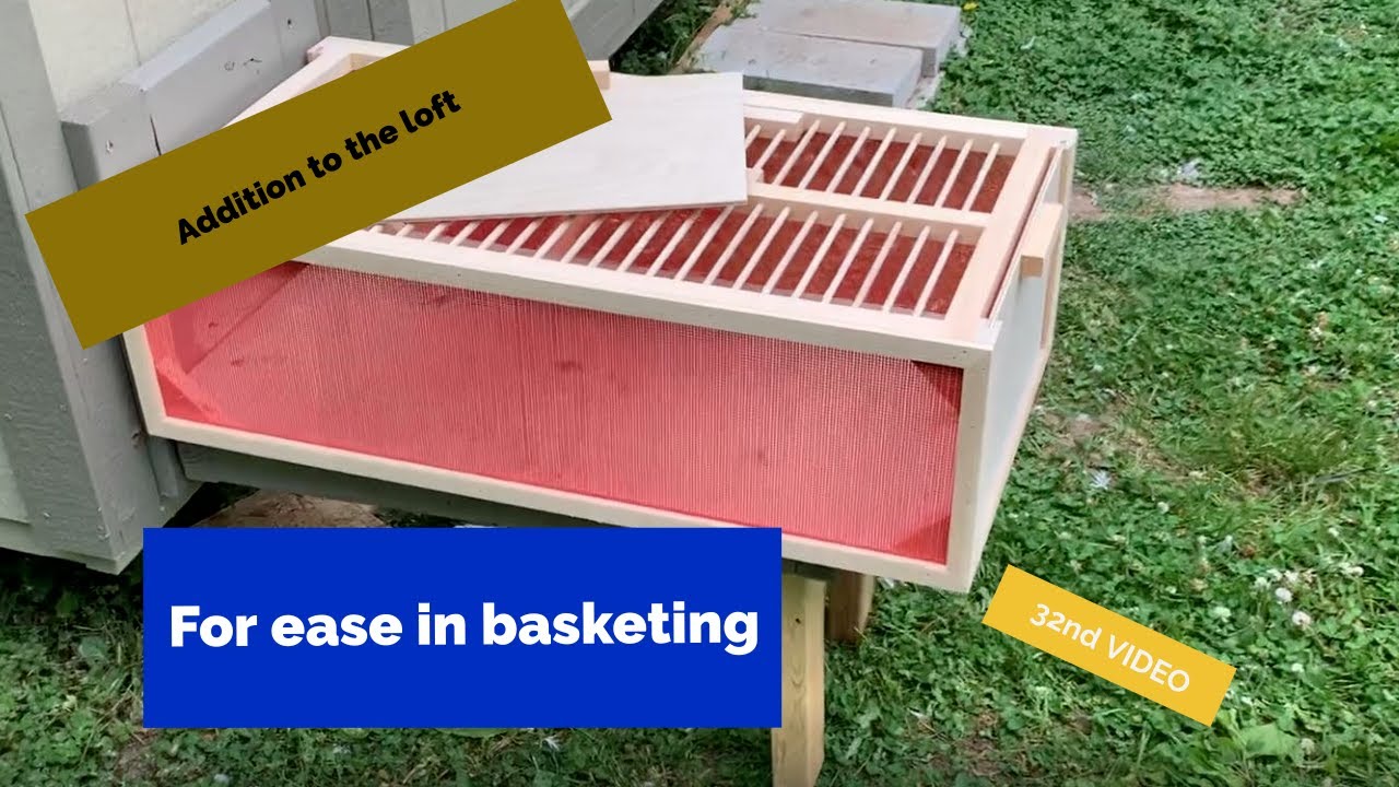 Added a way to easily basket the birds