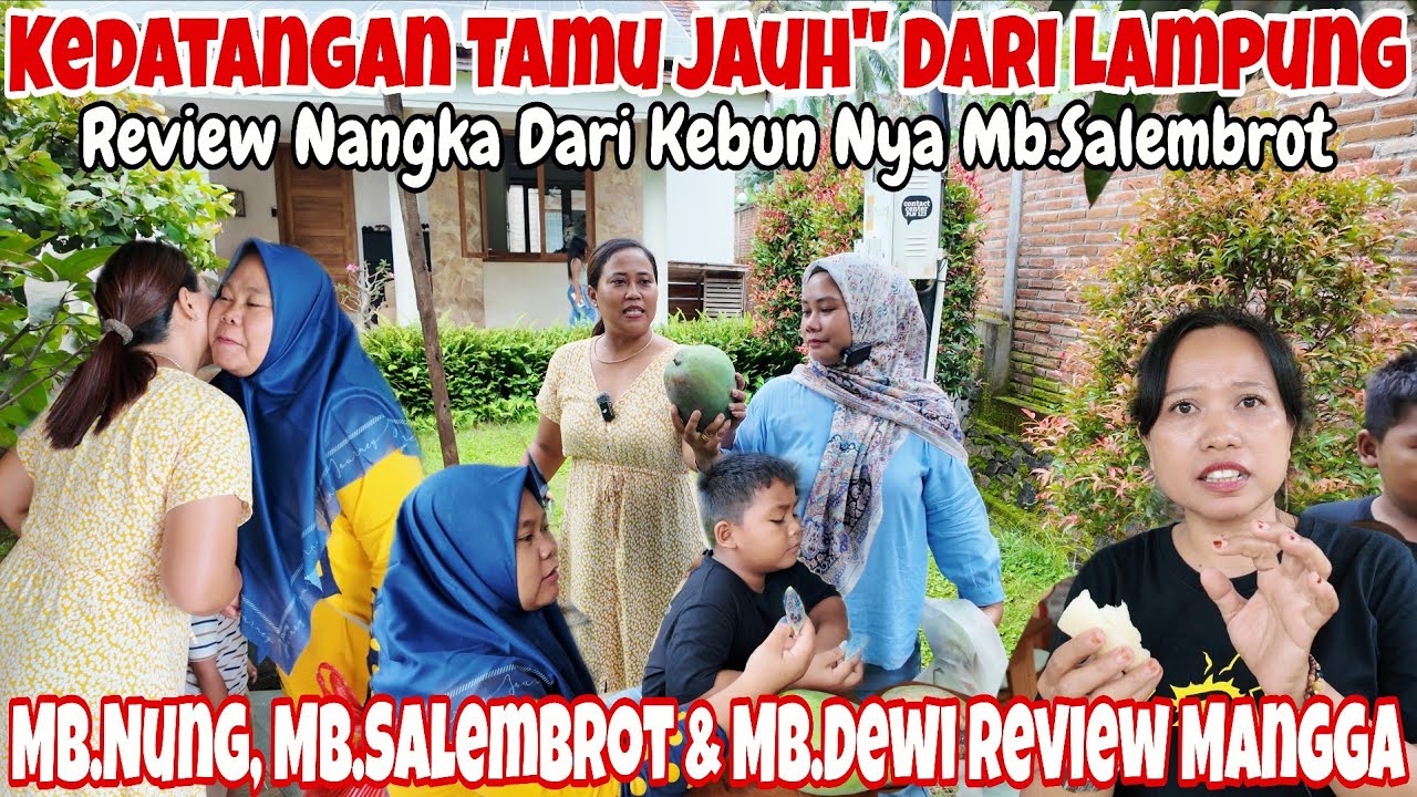 PANEN MANGGA RAKSASA BUAT TAMU DARI LAMPUNG‼️UNBOXING OLEH