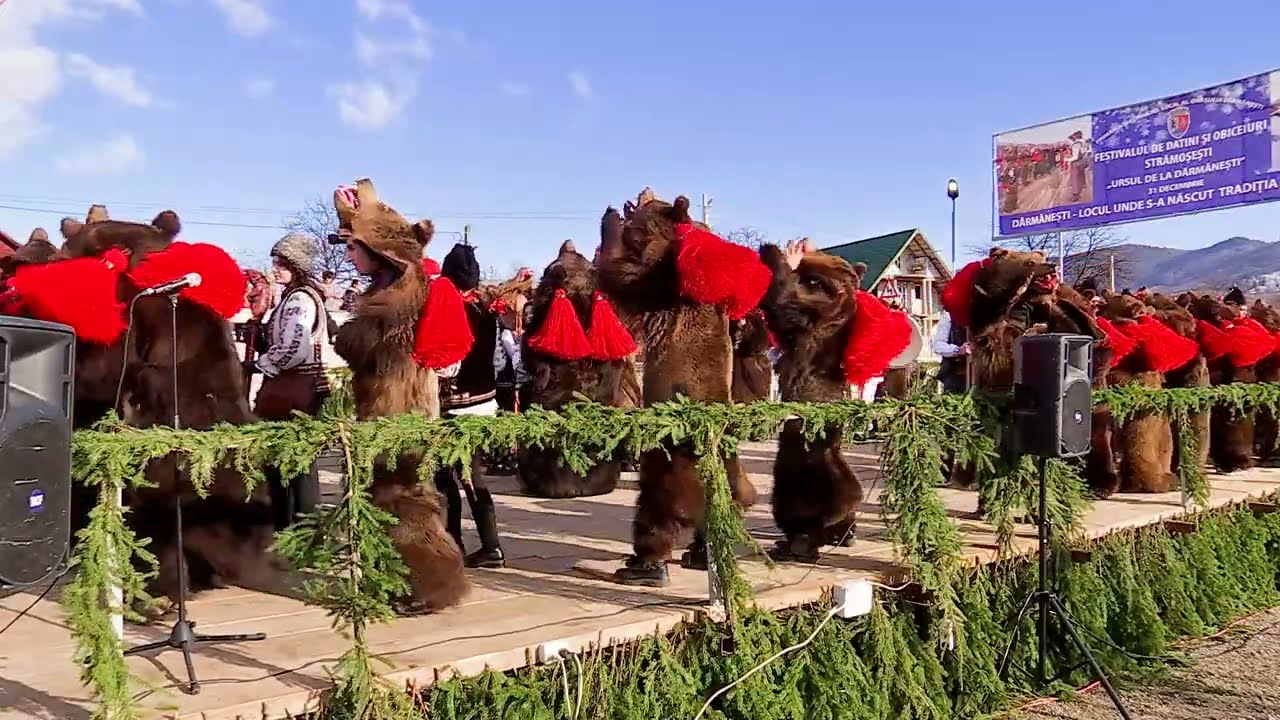 DĂRMĂNEȘTI FESTIVALUL 