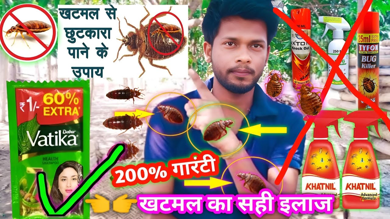 एक ही बार में जड़ से ख़त्म करे खटमल को इस अचूक उपाय से How To Get Rid of Bed Bugs -bed bugs #khatmal