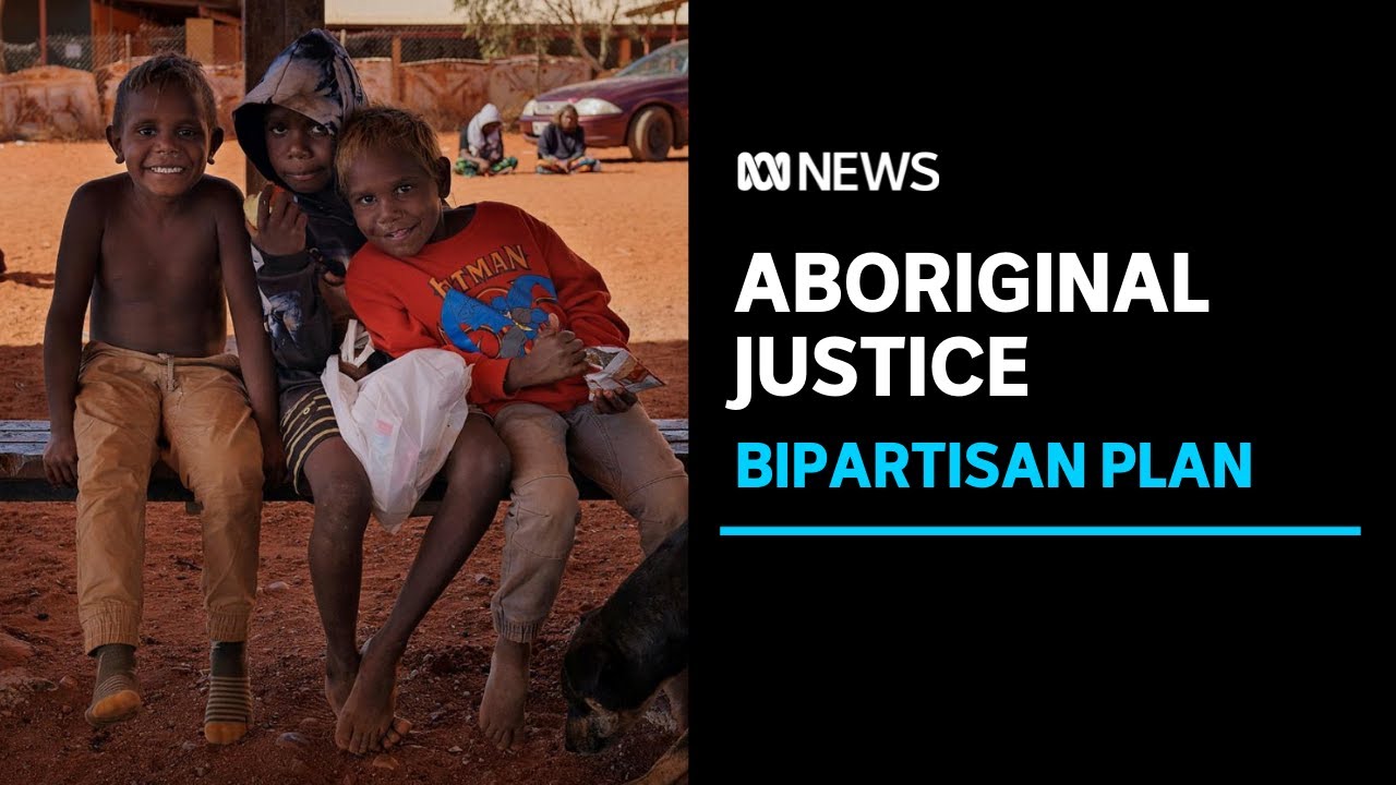 Plan to reduce Indigenous incarceration receives bipartisan support in the NT | ABC News