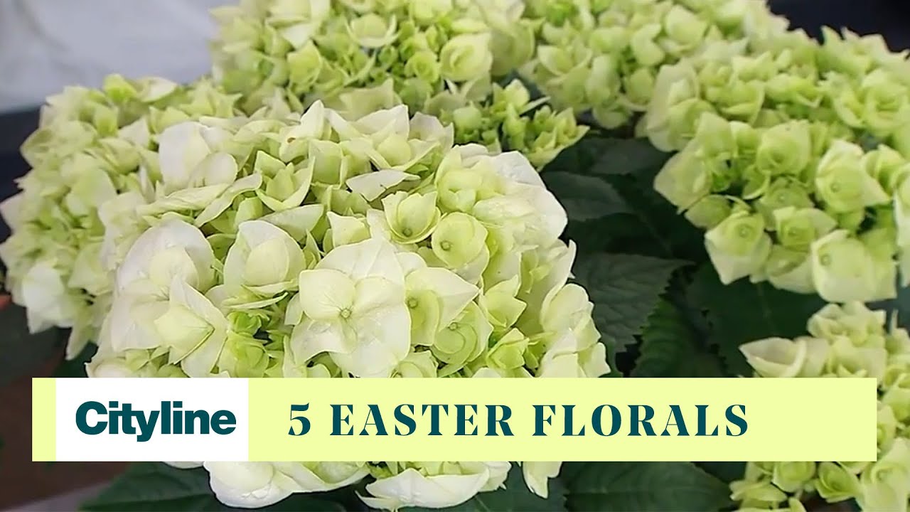 5 popular florals to fill your space with for Easter