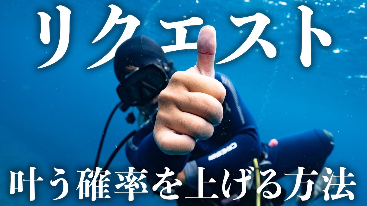 ポイントリクエストが叶う確率を上げる方法