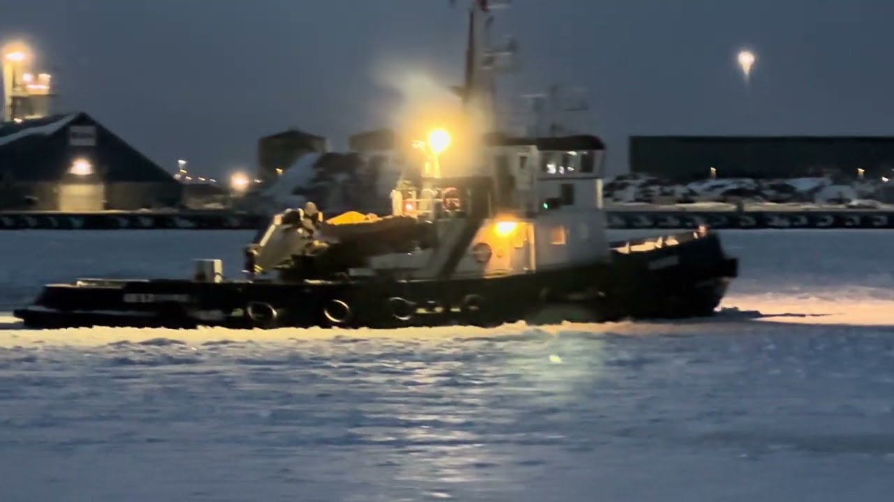 Isbryderen i Køge Havn februar 2026.