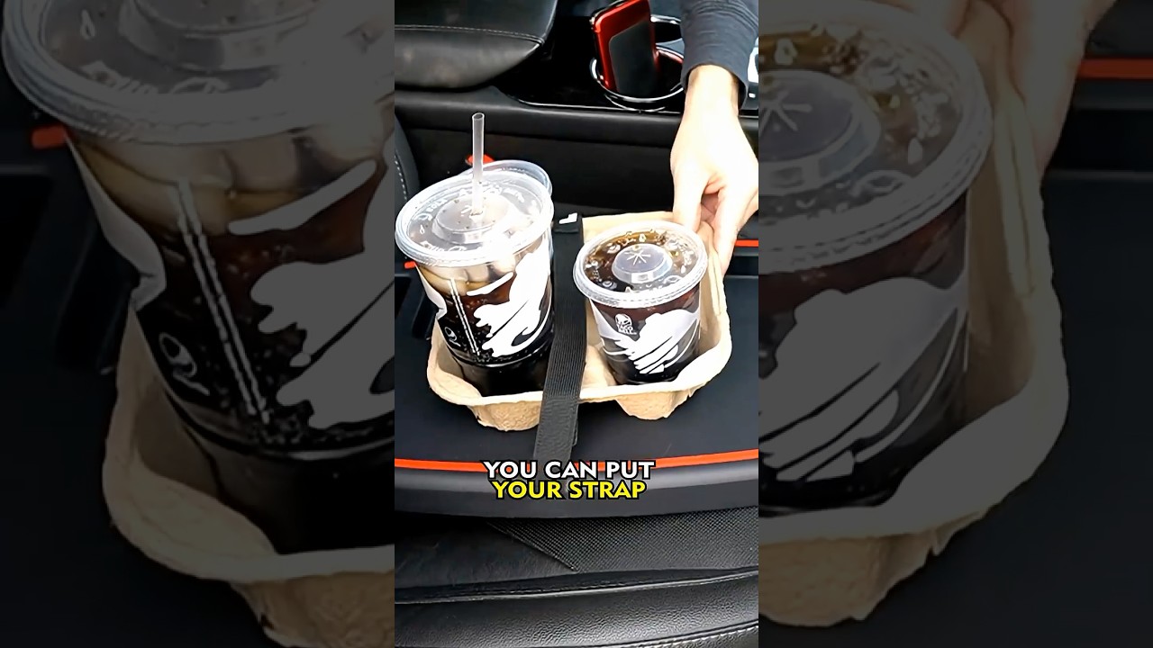 Stupid Car Tray - That's THEIR Name For It!