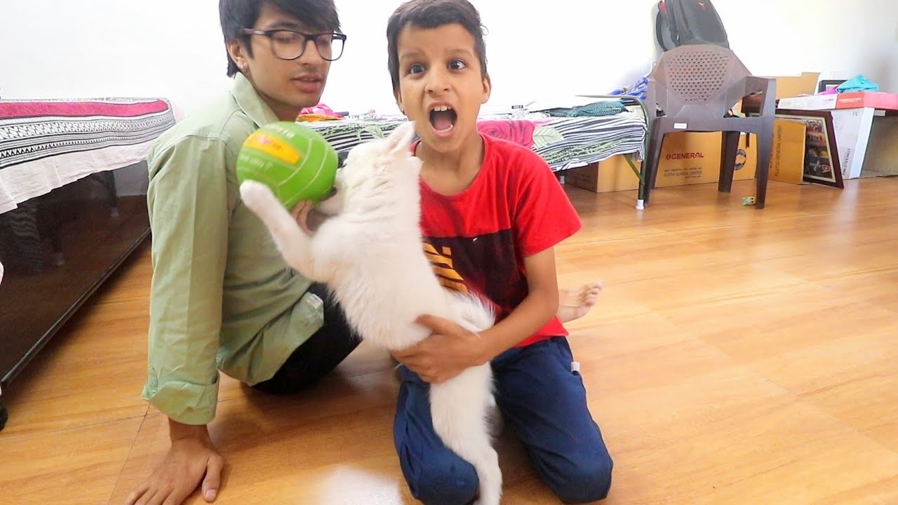 Oreo Playing In New Studio 😃