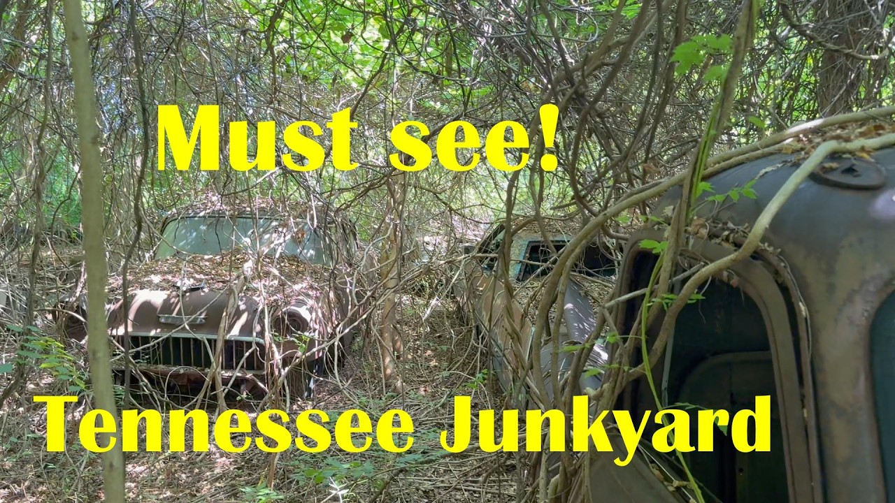Wow! Incredible junkyard in the woods of Tennessee! Everything is for sale.