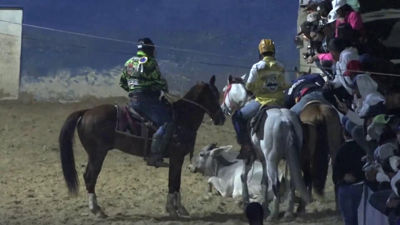 Toros Coleados San Antonio de los Teques
