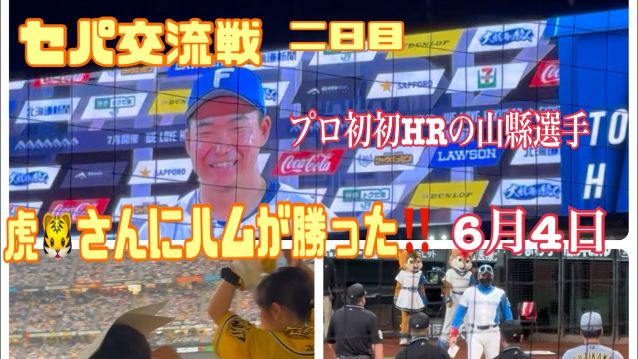 【セパ交流戦 2日目】虎🐯さんに埋め尽くされたエスコン球場‼️二日目の方が応援📣が凄く‥でも5対4で勝てた‼️