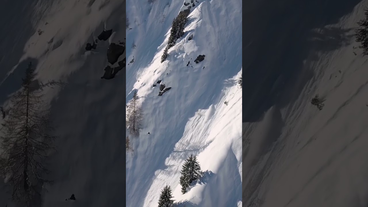 Arianna Tricomi - big line, big spine
