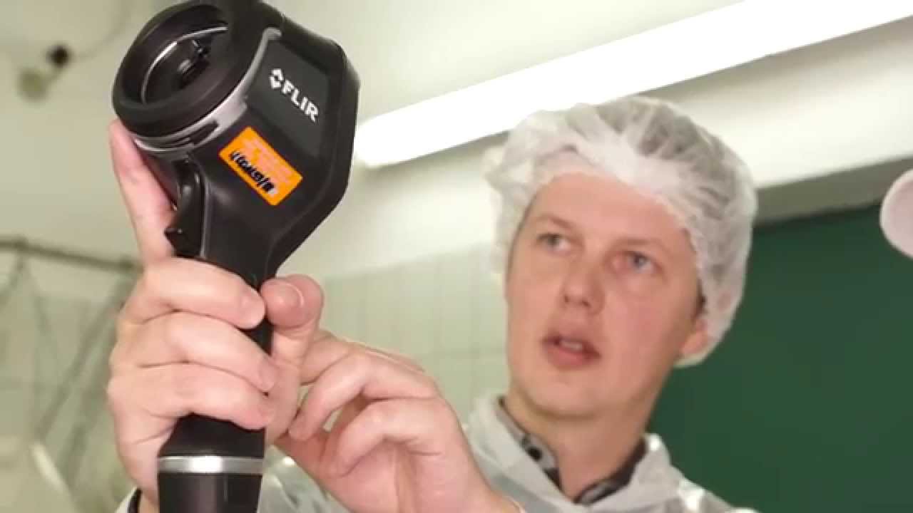 Die energieeffiziente Fleischerei
