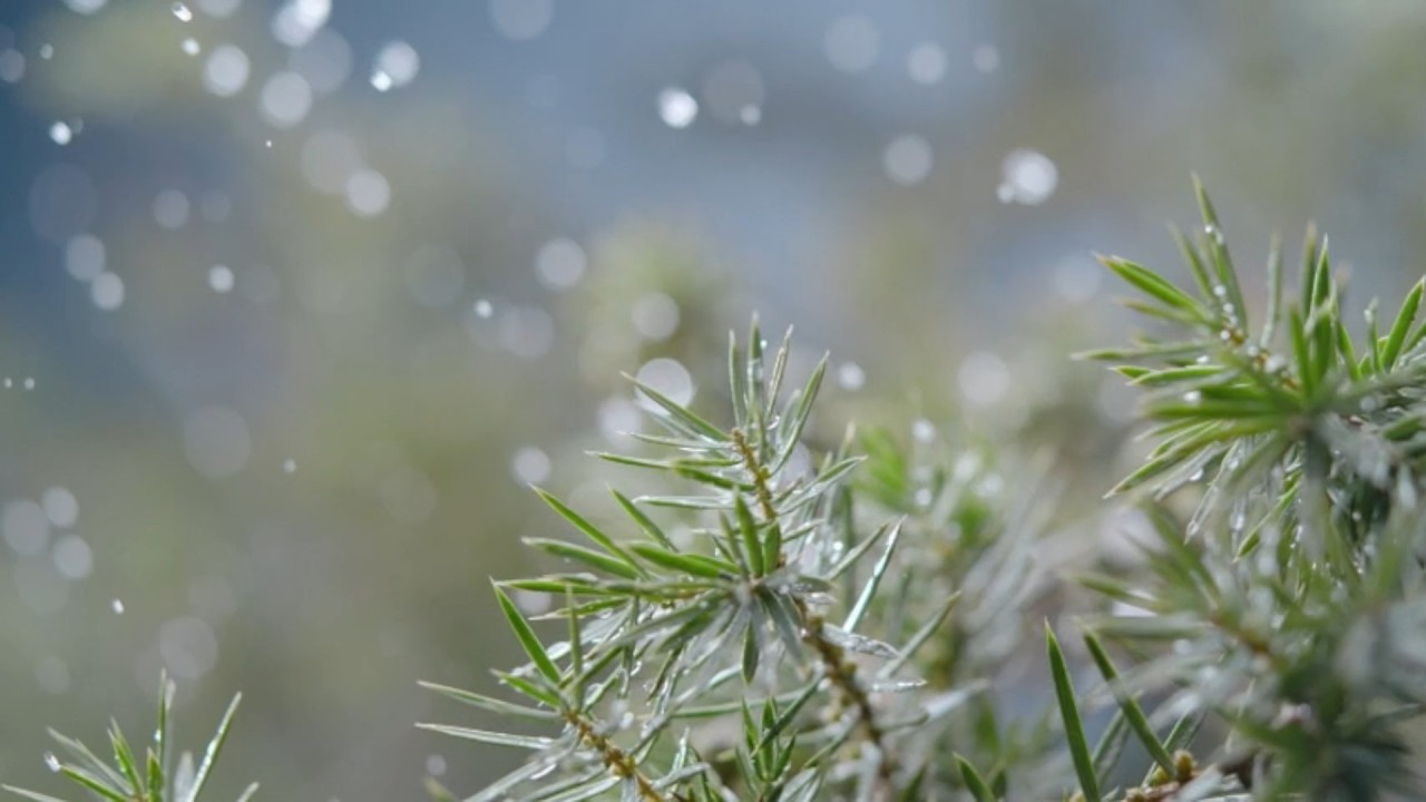 Relaxing Rain Music, Bedtime Music, Reduce High Blood Pressure, Beautiful Piano Melody