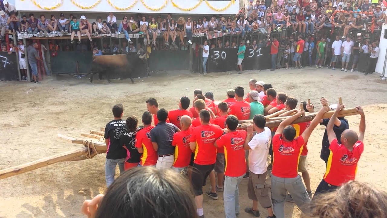capeia arraiana forcalhos 2014