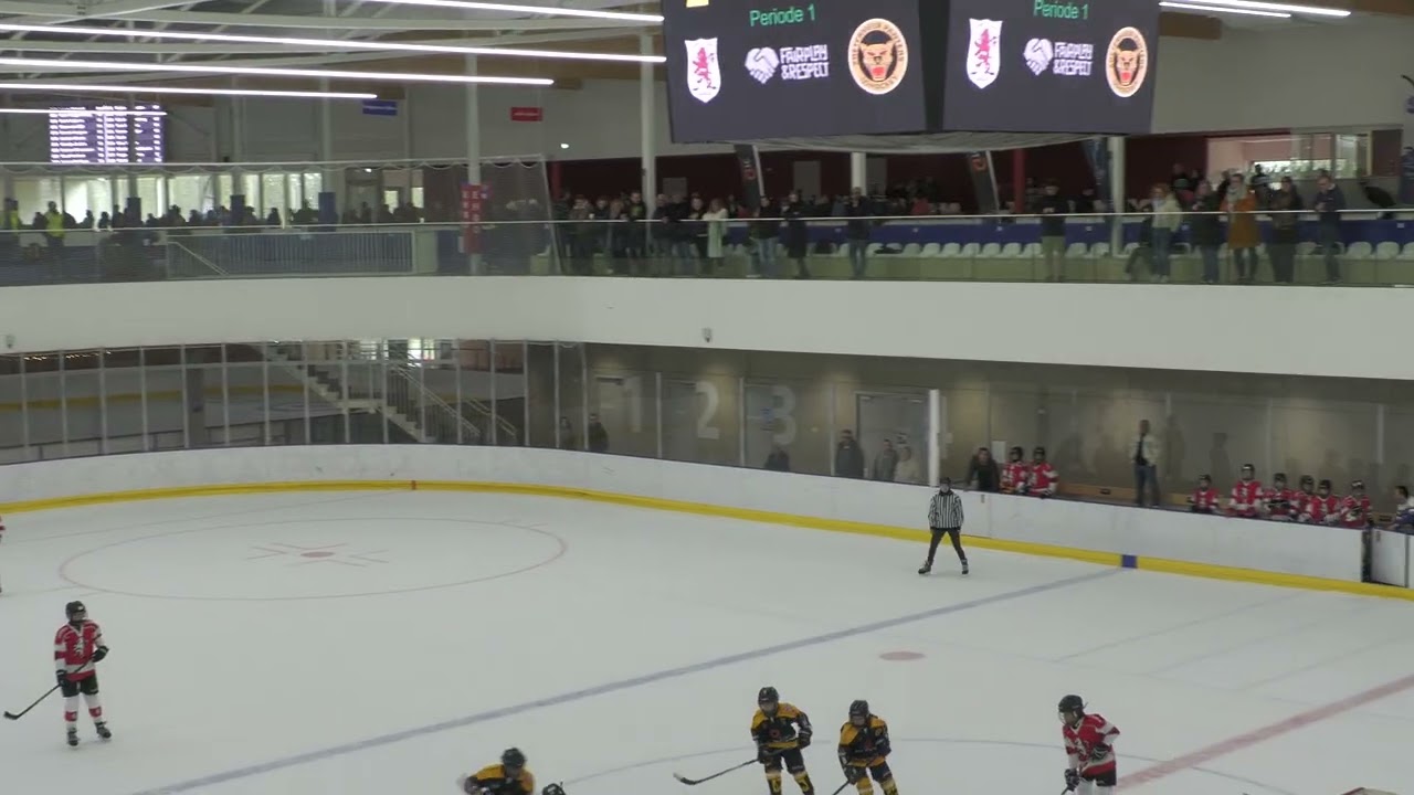 Leiden lions U11 vs Zoetermeer Panters U11                                                01.02.2026