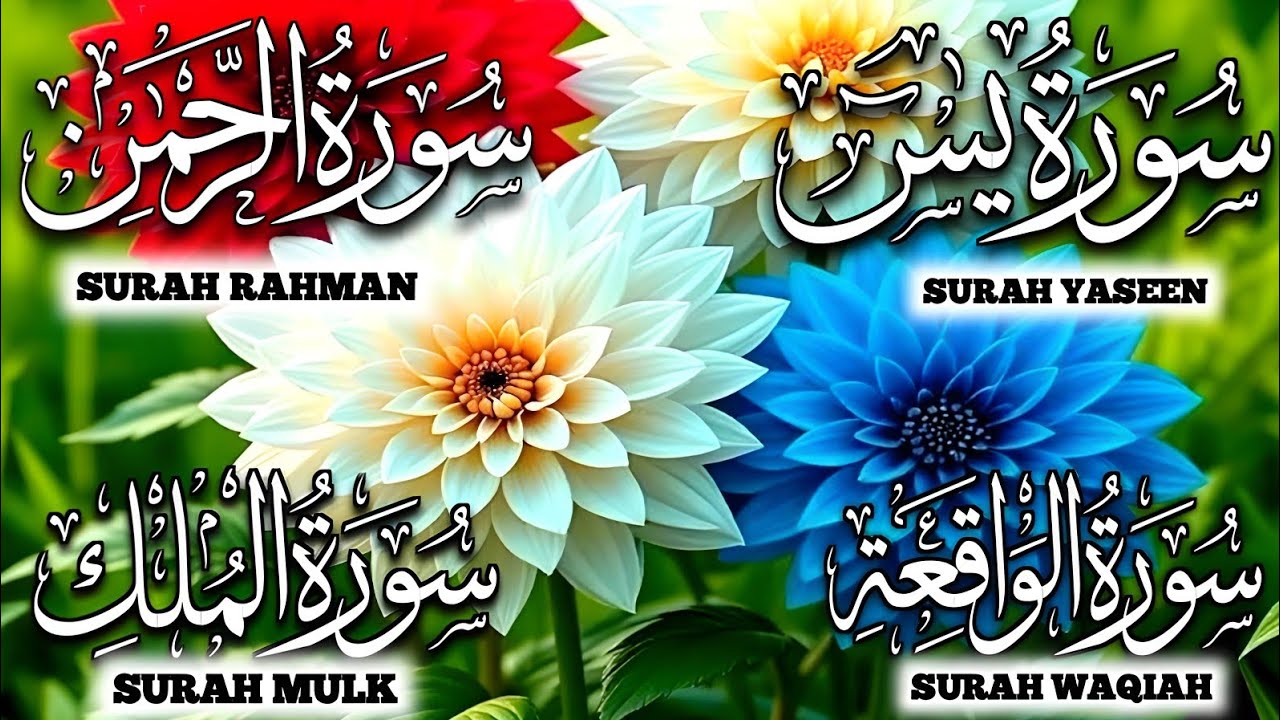Soul Healing Quran Tilawat | Yasin, Rahman, Waqia, Mulk
