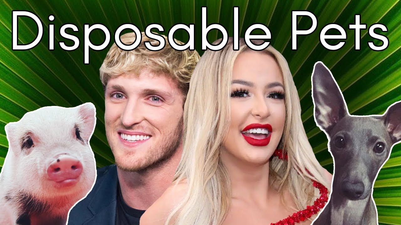 Трагическая история этих питомцев ютуберов