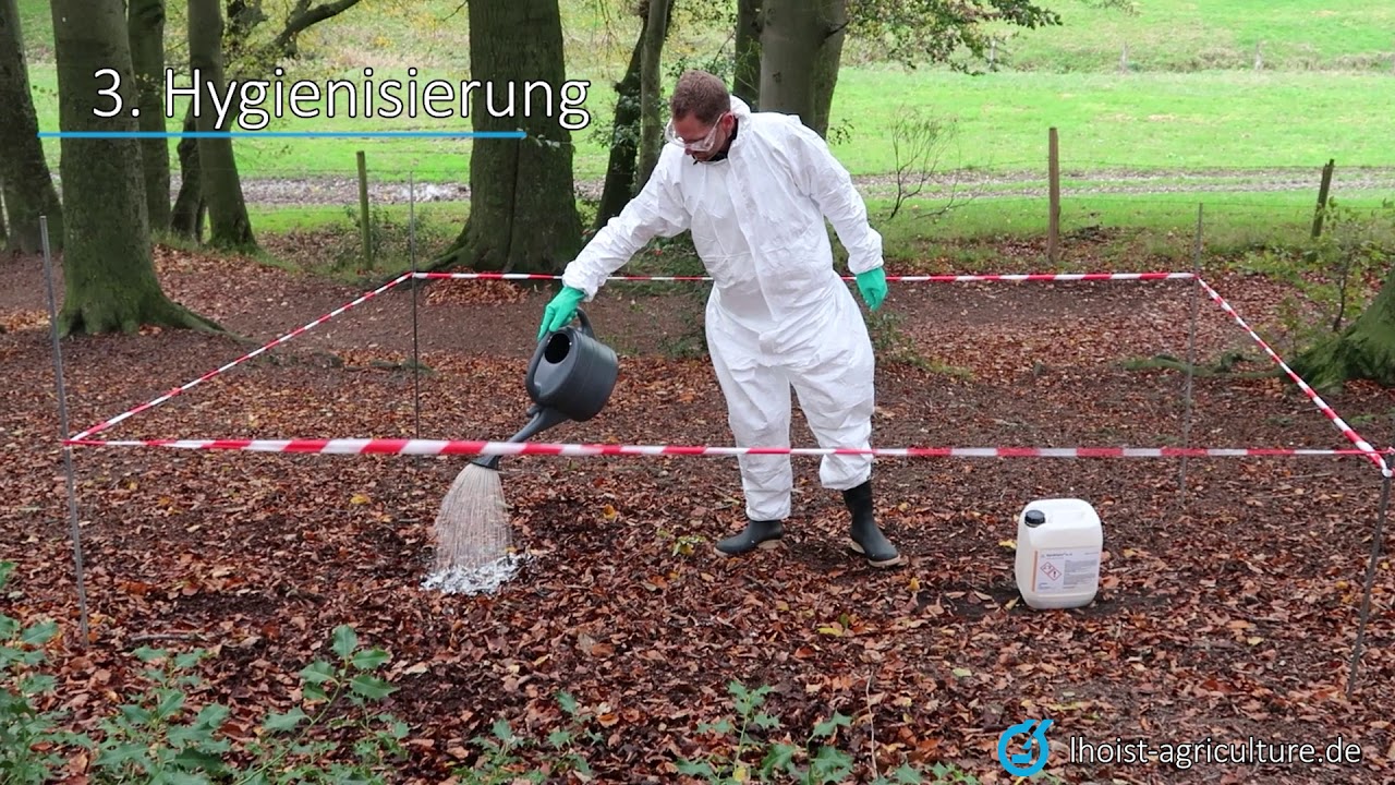 Anwendung von SANIBLANC&reg; SL30 zur Desinfektion bei Tierseuchen
