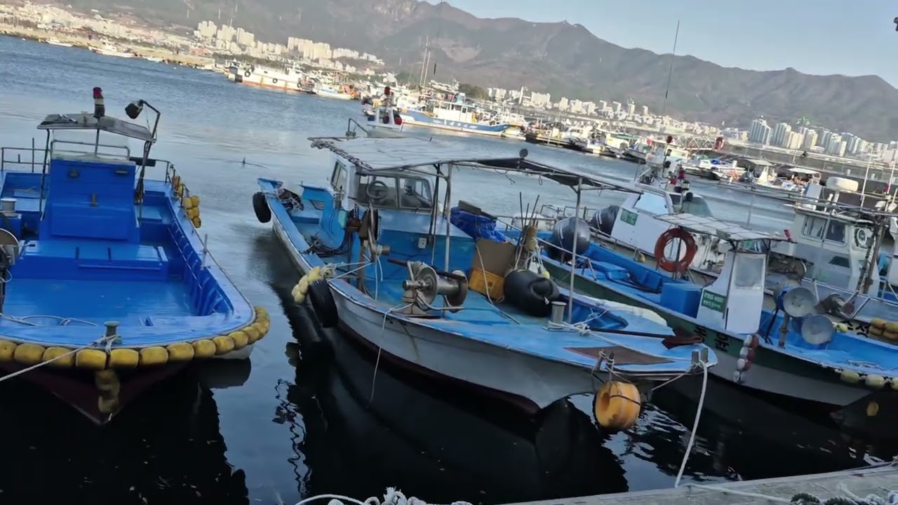 기상악화로 세찬바람이 불어 해양 경찰배만 항해중입니다 진해 속천항구에 출항하지 못한 배들 (더보기에 설명있어요)