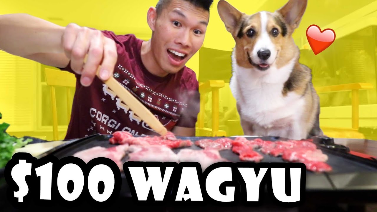 Корейский ужин с барбекю из вагю от Corgi Dog за 100 долларов! || Жизнь после колледжа: Эпизод 659