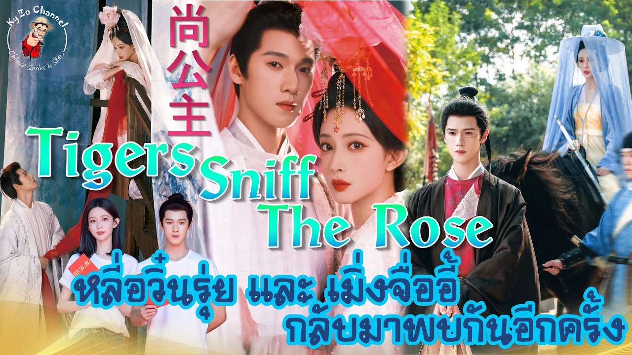 หลี่อวิ๋นรุ่ย และ เมิ่งจื่ออี้ โคจรมาพบกันอีกครั้ง ใน Tigers Sniff The Rose