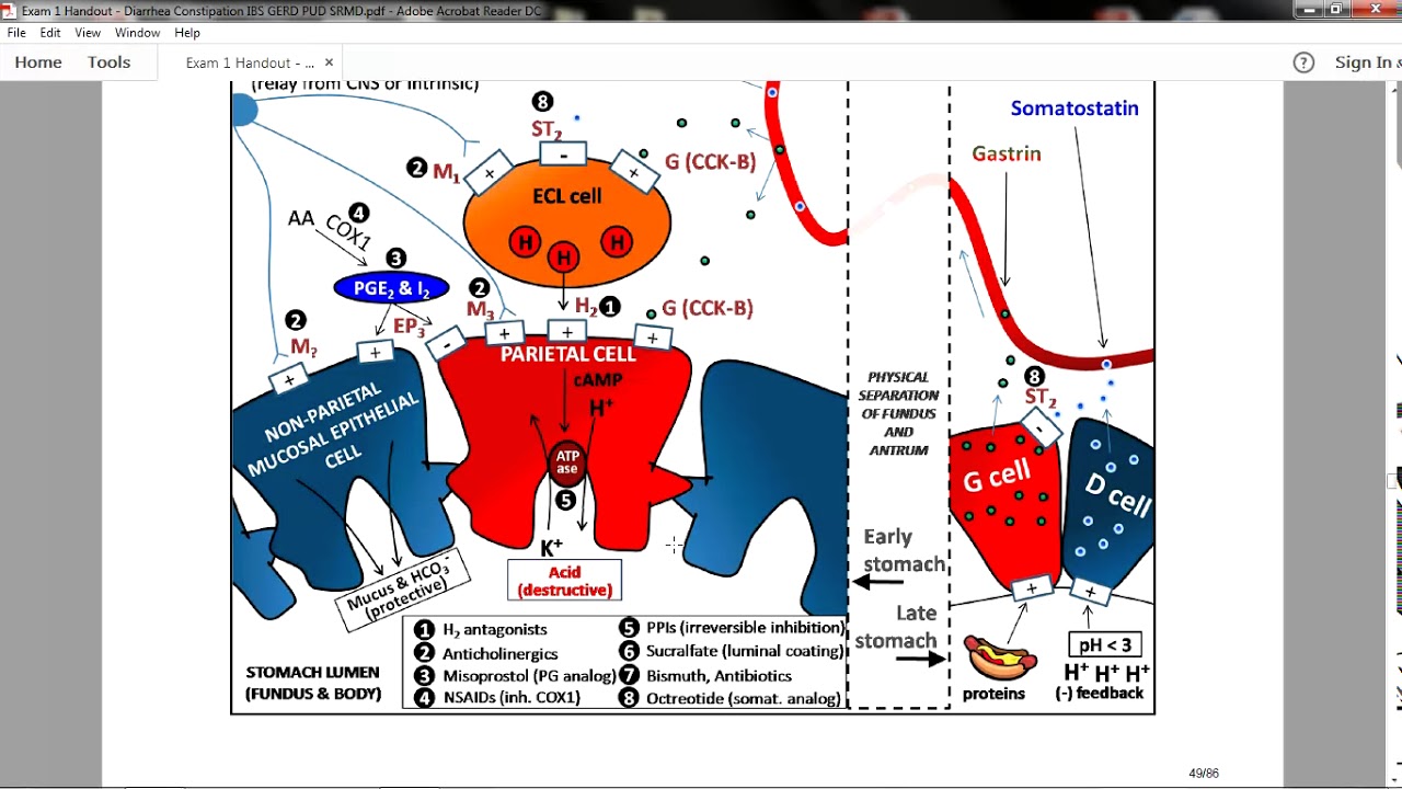 Gastric Acid PUD and GERD 2018