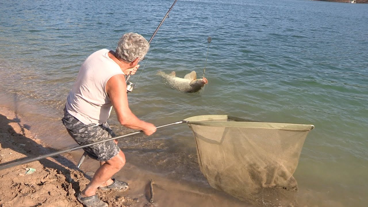 Pecanje šarana na Zavojskom jezeru kod Stare planine - Dubinsko pecanje | Fishing carp in lake