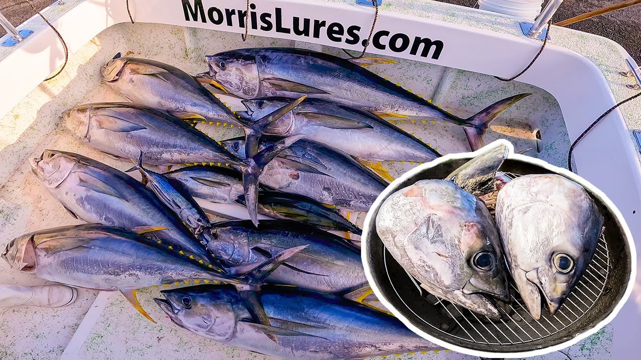 24 Hour Fishing Challenge in Hawaii!  Tuna Heads Catch and Cook!