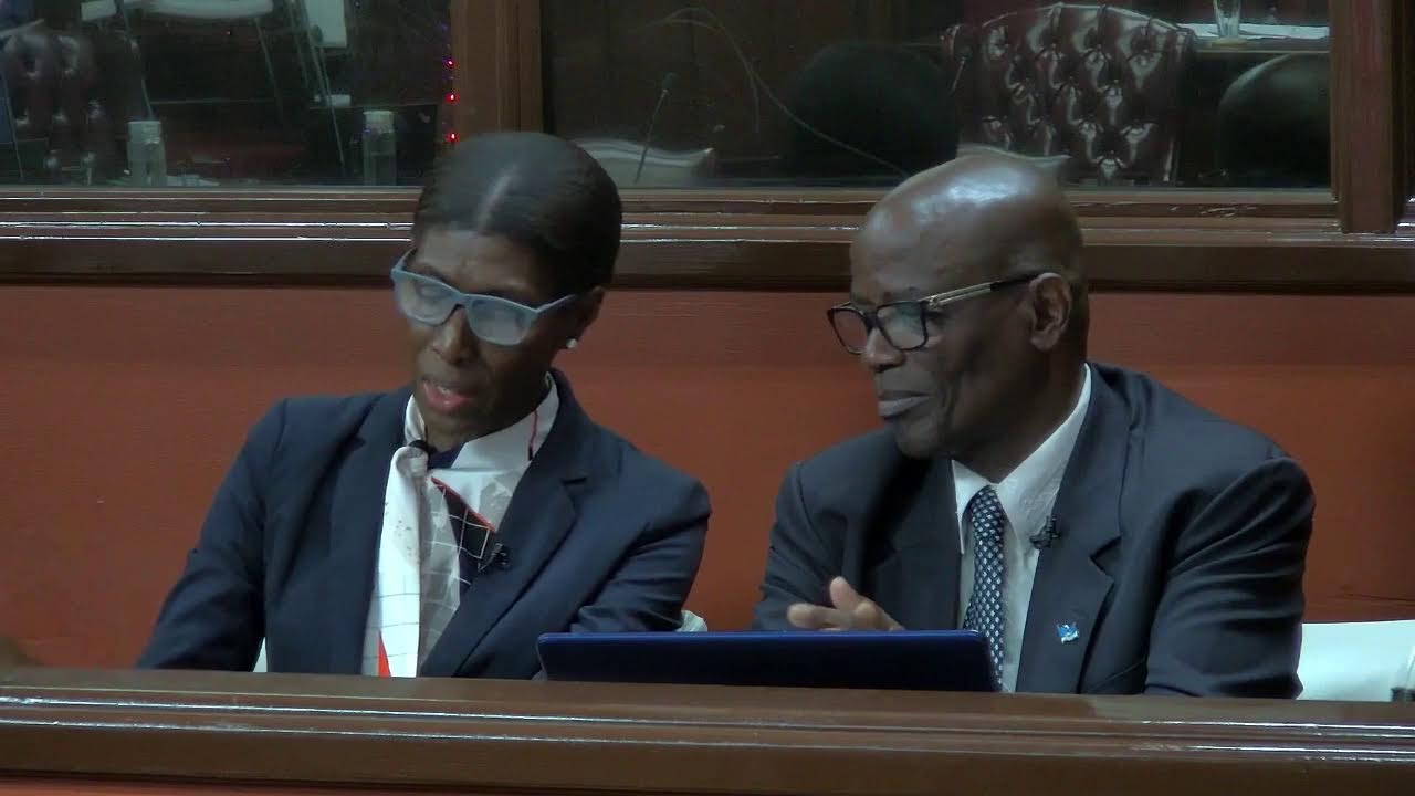 Sitting of the Senate - Pt I (March 19, 2026)