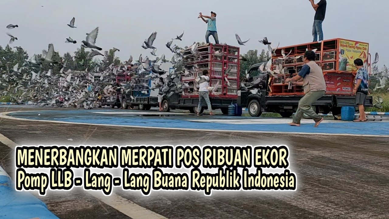 MELEPAS RIBUAN EKOR MERPATI POS BERSAMA LOMBA POMP LLB SEBELUM LOMBA