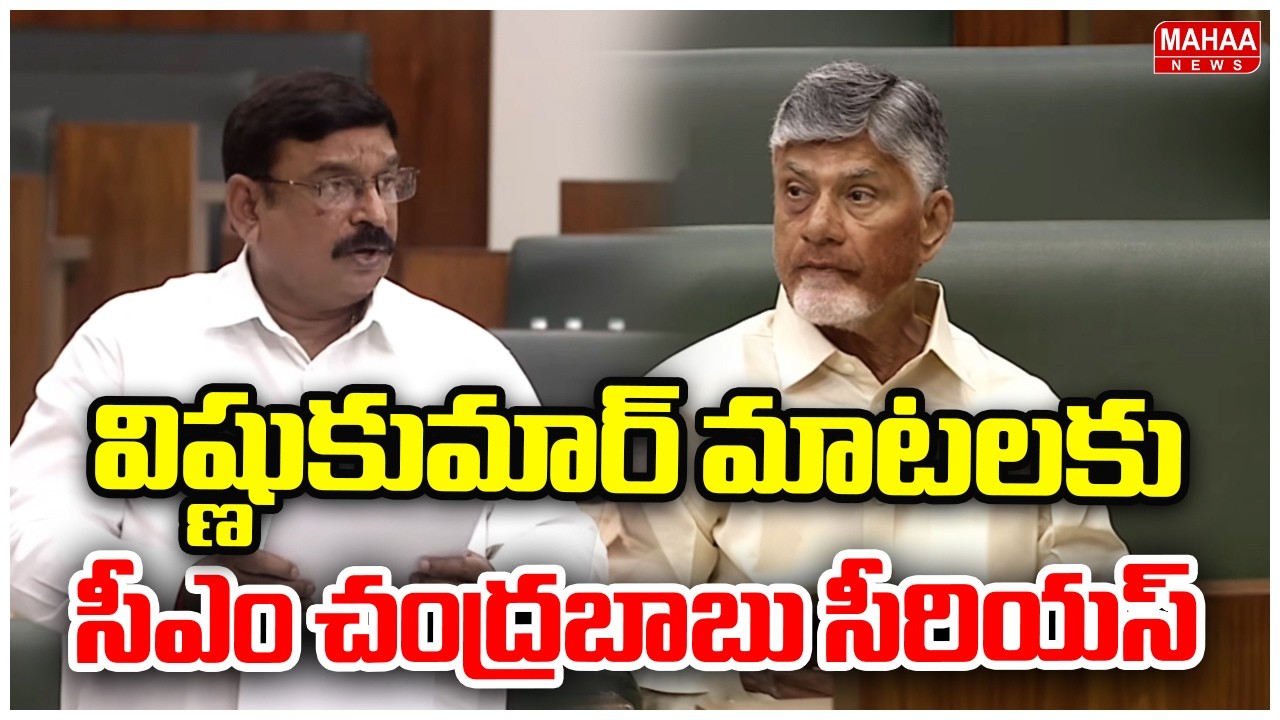 విష్ణుకుమార్ మాటలకు సీఎం చంద్రబాబు సీరియస్ | CM Chandrababu Reaction On Vishnukumar Speech