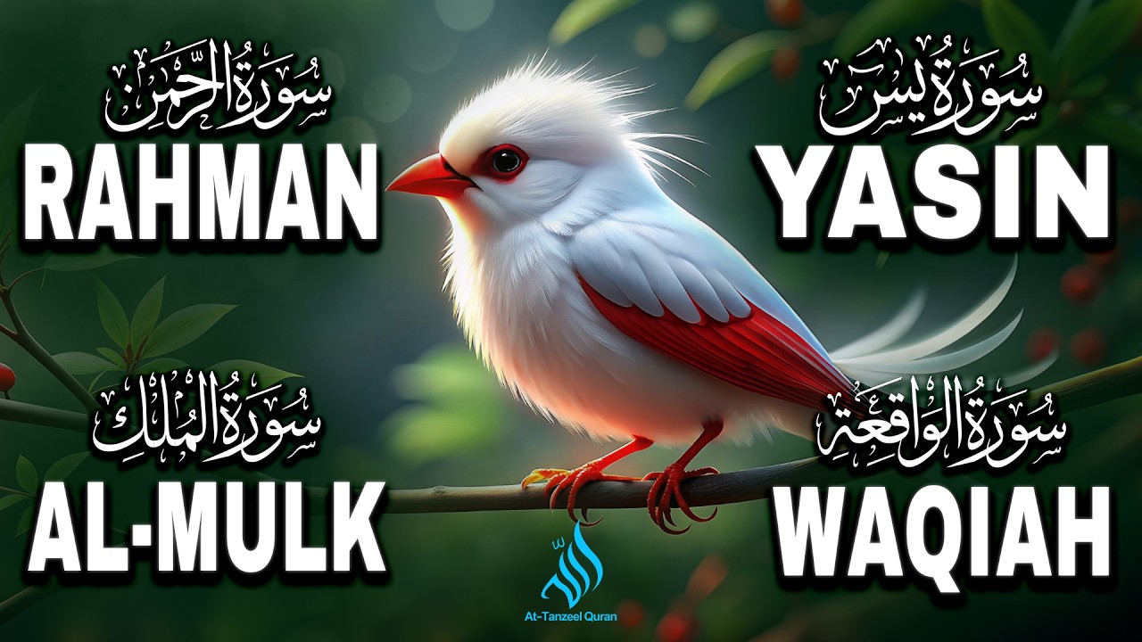 Emotional Heart Touching Quran Recitation | Surah Yaseen, Surah Rahman, Surah Waqiah, Surah Al-Mulk
