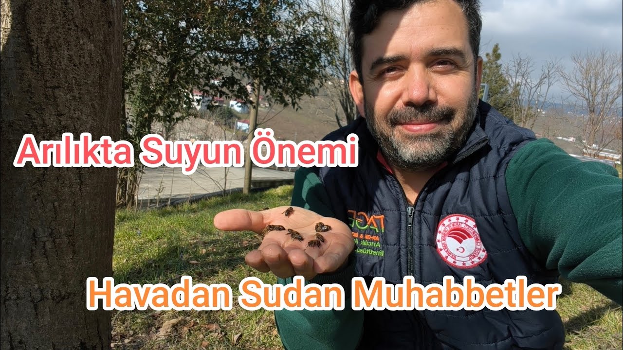 Arılıkta Suyun Önemi İnce Detayları