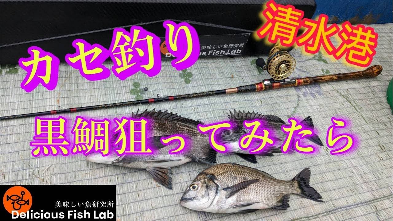 清水港カセ釣り黒鯛（チヌ）狙ってみたら・・・【山本釣り船店】