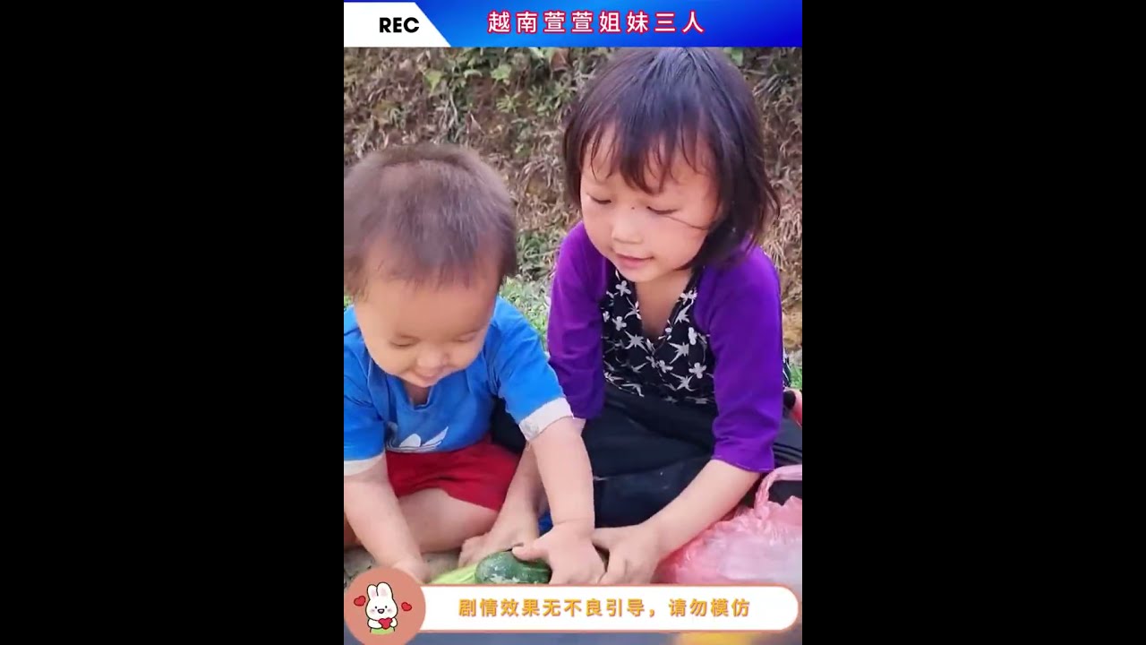 越南萱萱姐妹三人第200集：#农村生活 #纪录片解说 #荒野建造 #越南生活记录