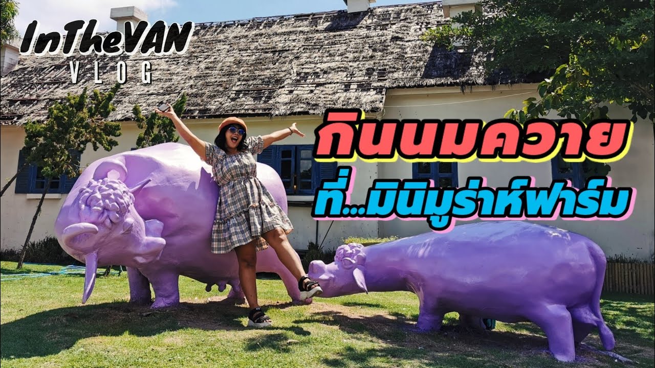 Ep.57 กินนมควาย ที่มินิมูร่าห์ฟาร์ม ฉะเชิงเทรา : ตู้ฟ้าชาลี