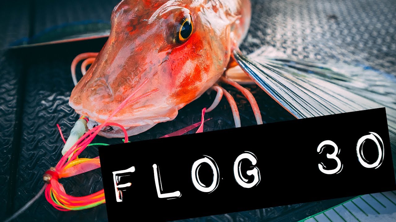 Flog 30 // Chasing Carrots