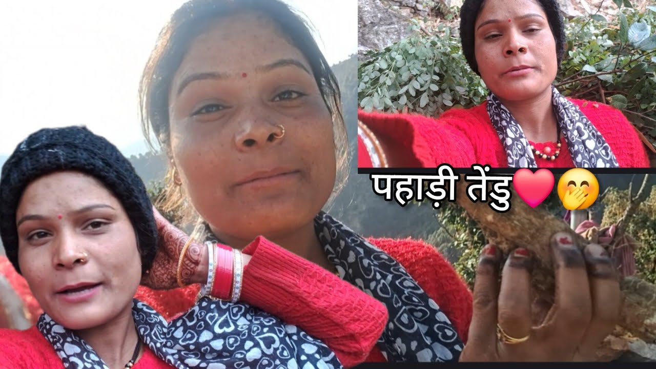 पहाड़ी तेंडु🤭❤️क्या में काम नहीं करती 😢❤️phadilifestyle❤️
