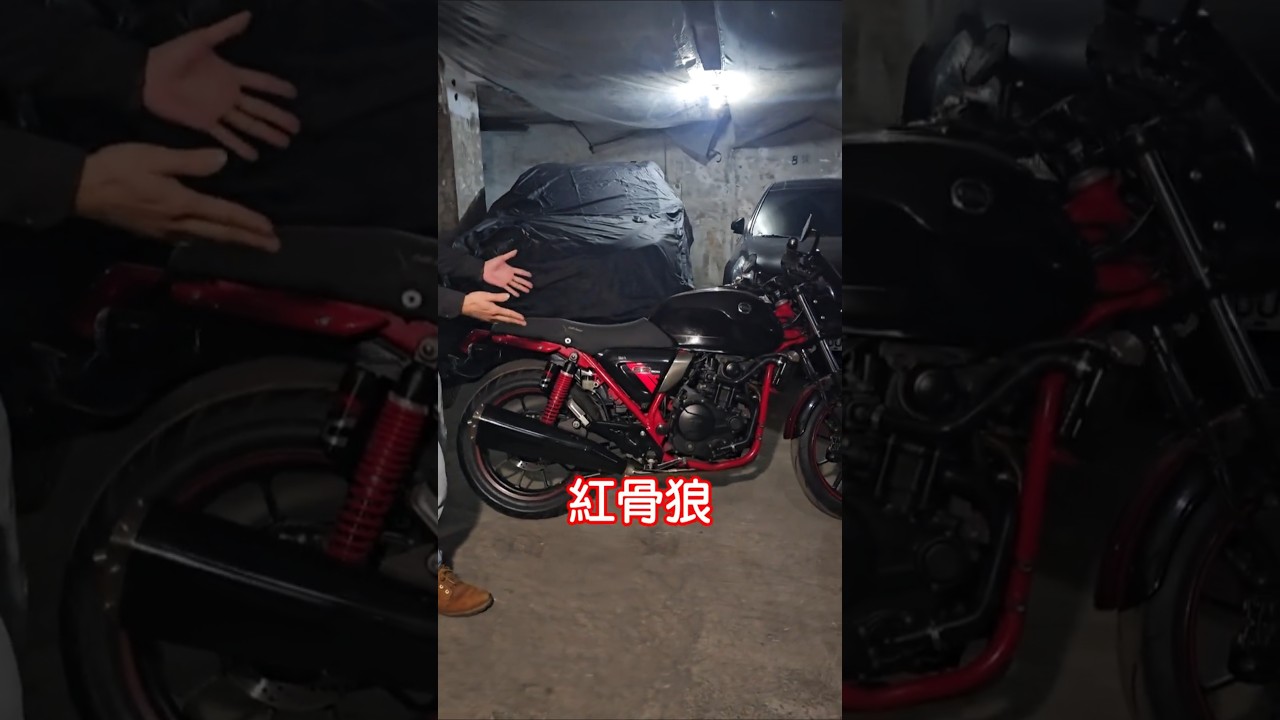 紅骨狼經典車款SB300CR版 #大野狼 #黃牌重機 #sym