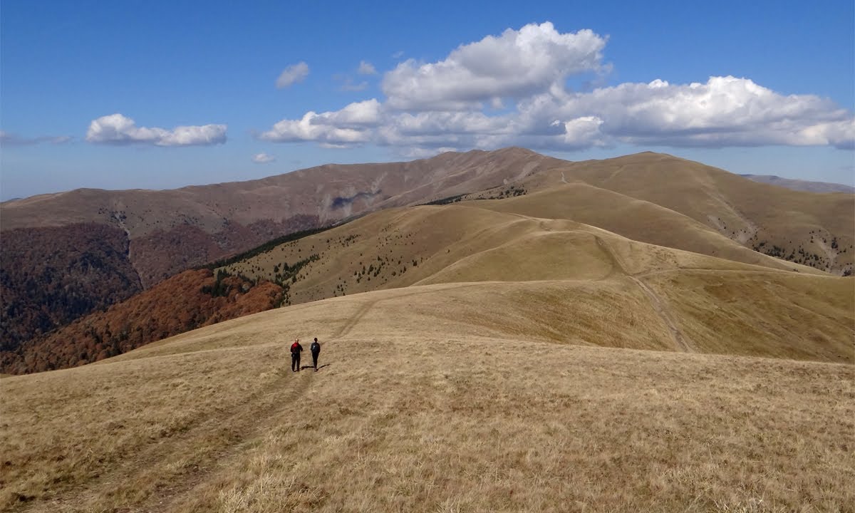 Traseu in Muntii Baiului: Sinaia - Piscul Cainelui - Creasta Baiului - Culmea Zamora - Busteni
