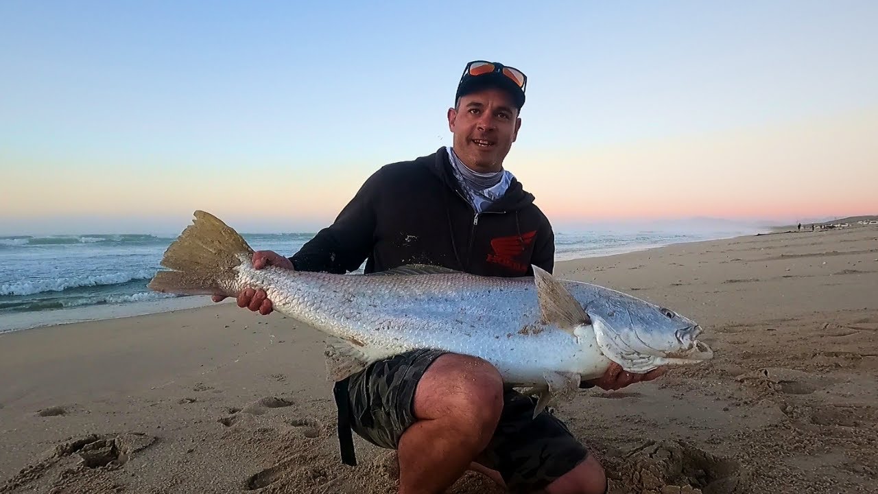 He was LUCKY to land this BIG KOB MACASSAR!!