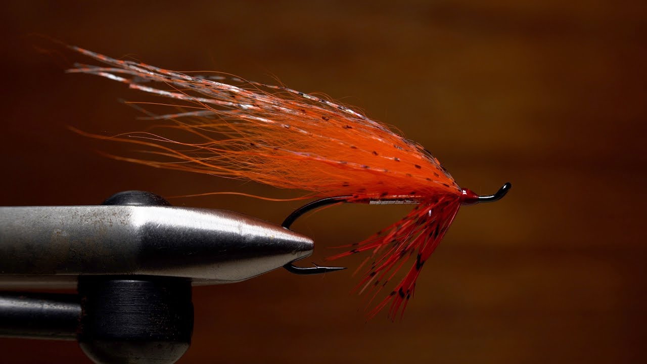 McKenna's Freestyle Fall Favorite