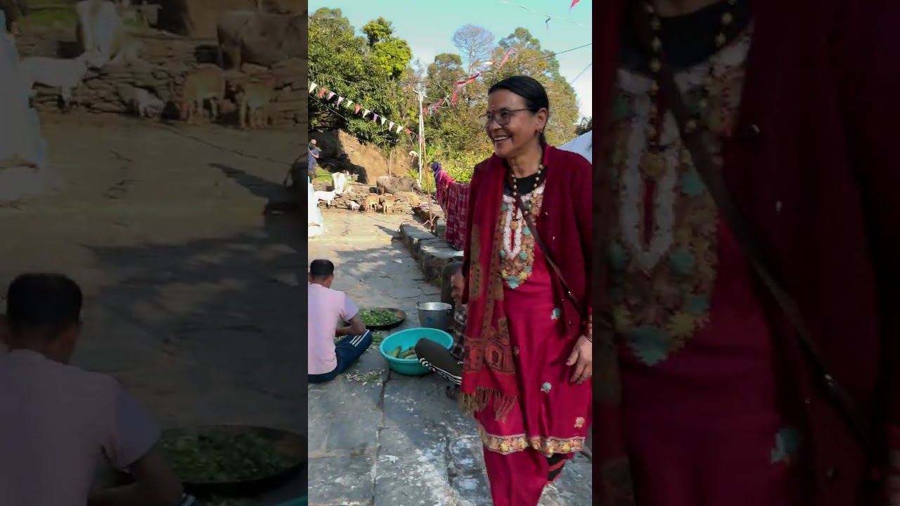 Mehy ghar 🩷