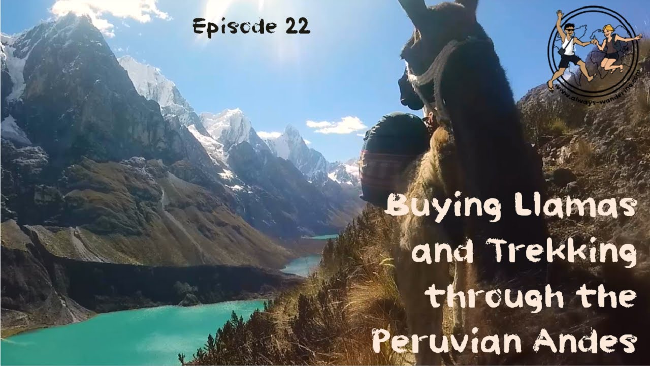 Hiking the Original Inca Trail with Llamas