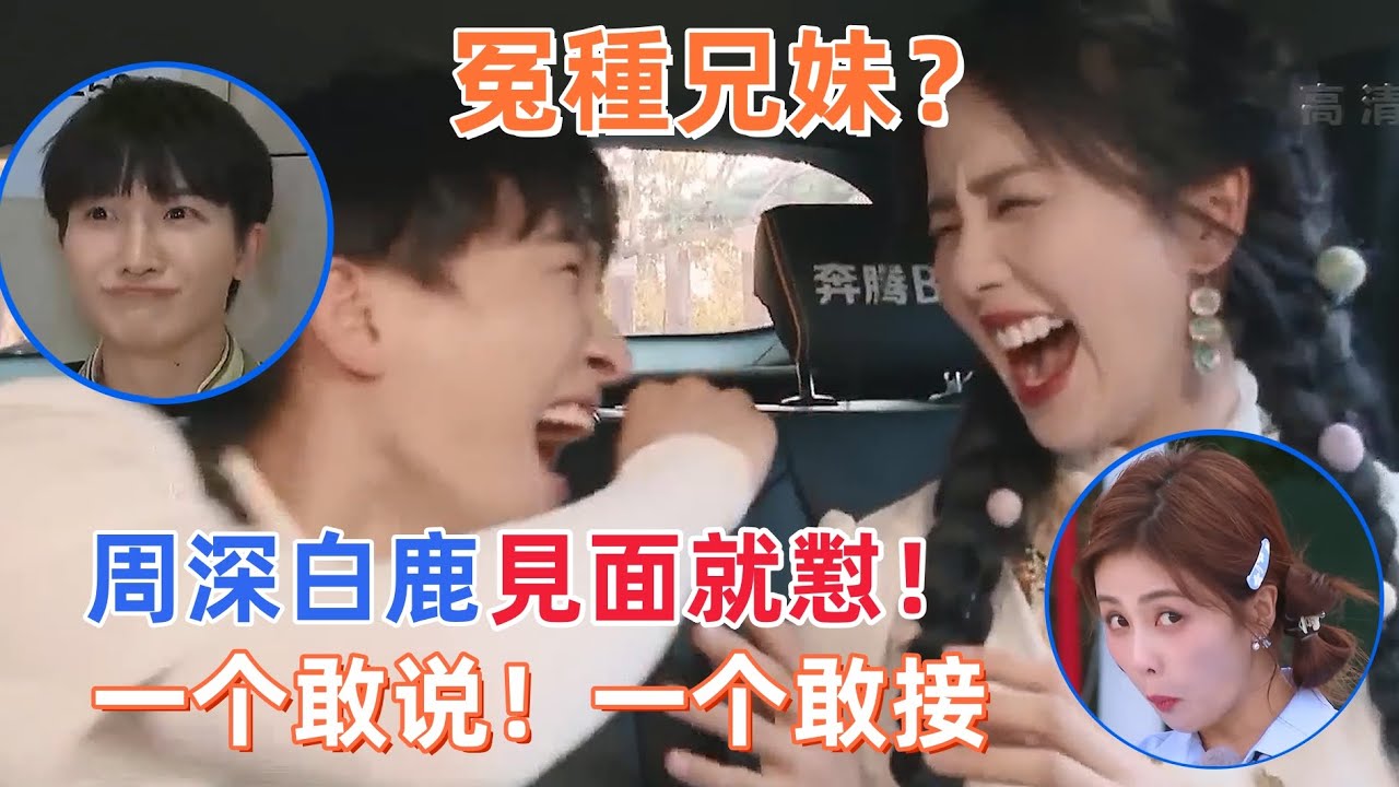 #白鹿 #周深 互懟名場面！這倆人在一起真的太吵了！#zhoushen #bailu #奔跑吧